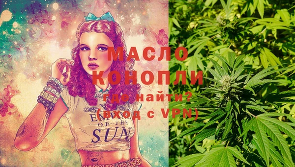 мет Бородино