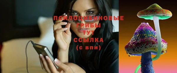 прущая мука Бронницы
