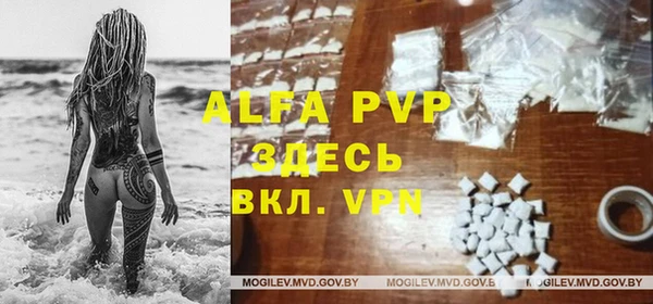 мет Бородино